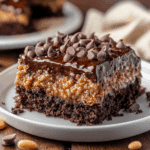 The Best German Chocolate Poke Cake
